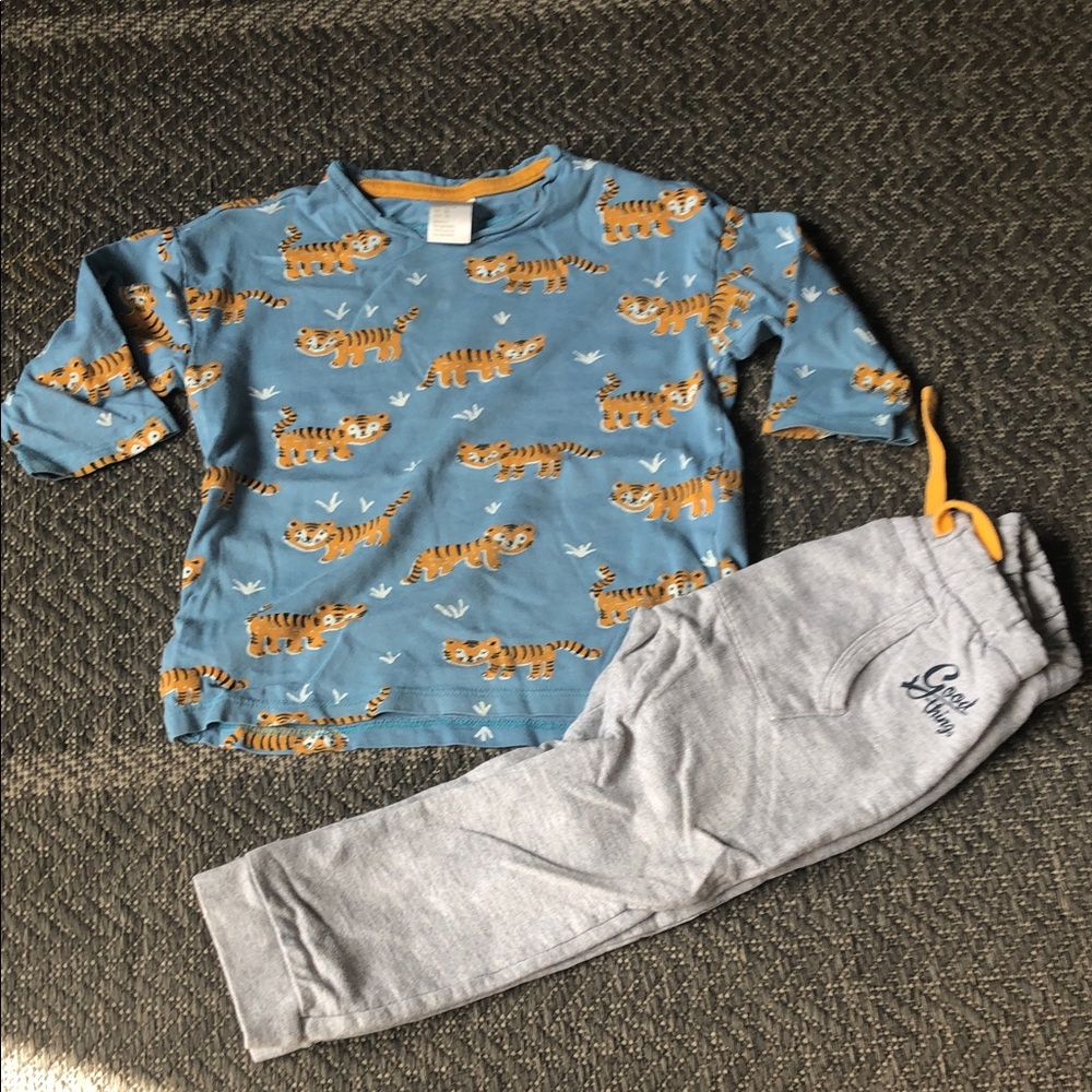 H&M Blue Tiger Print Top with Gray Joggers Set